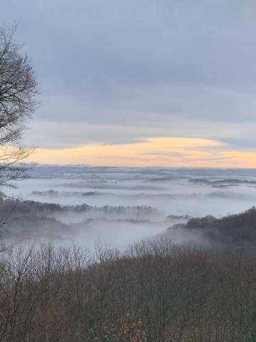 La Gazouillerie - Pleine Nature Lauresses Buitenkant foto